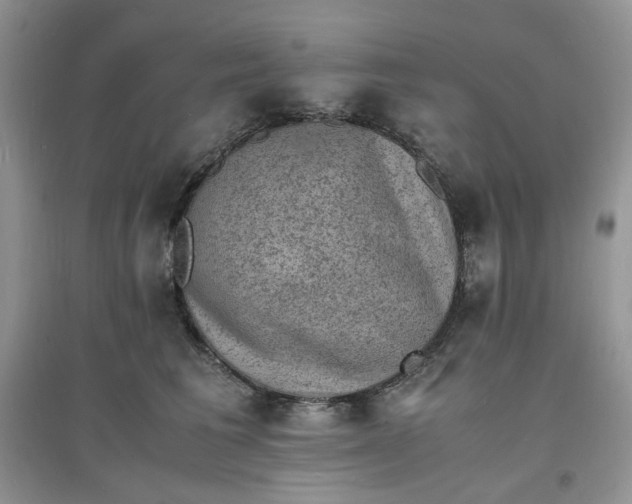 X0000097620613200803142004