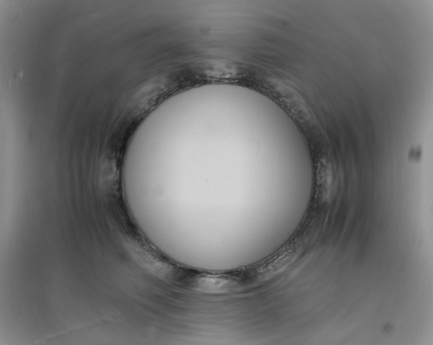 X0000097620614200803142004