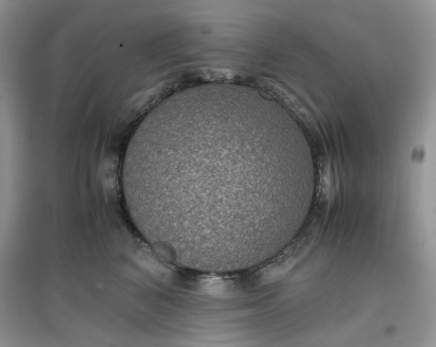 X0000097620616200803142003