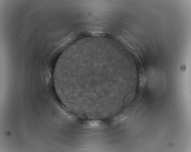 X0000097620618200803142003
