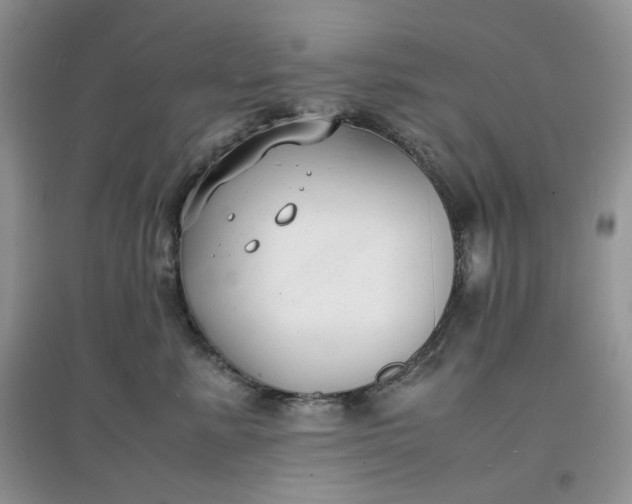 X0000097620619200803142003