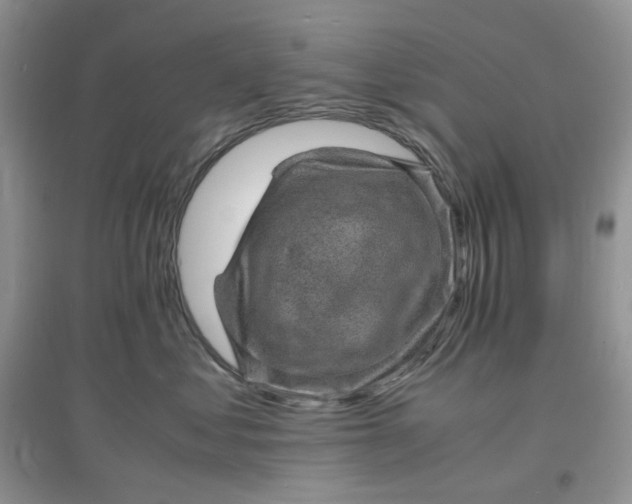 X0000097620621200803142003
