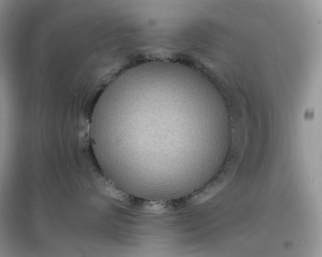 X0000097620624200803142003