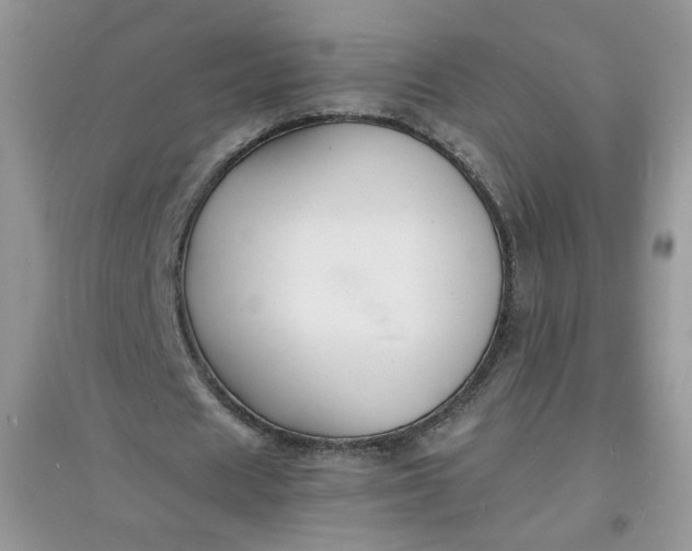 X0000097620625200803142003
