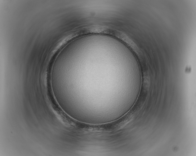 X0000097620626200803142003