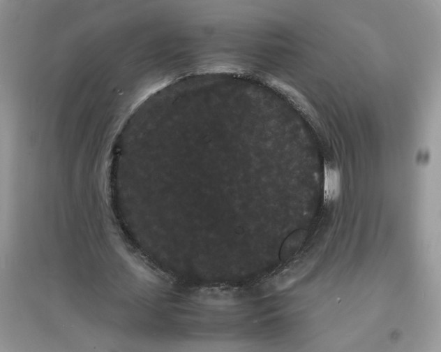 X0000097620627200803142003