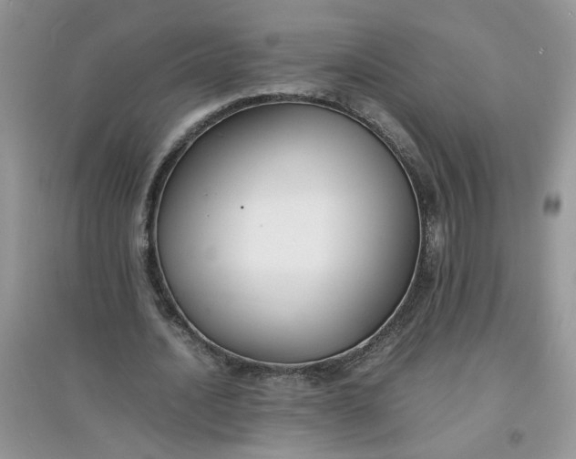 X0000097620628200803142003