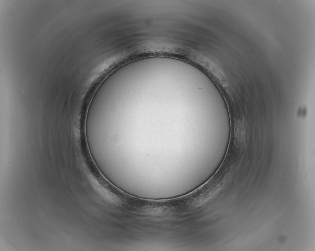 X0000097620629200803142003