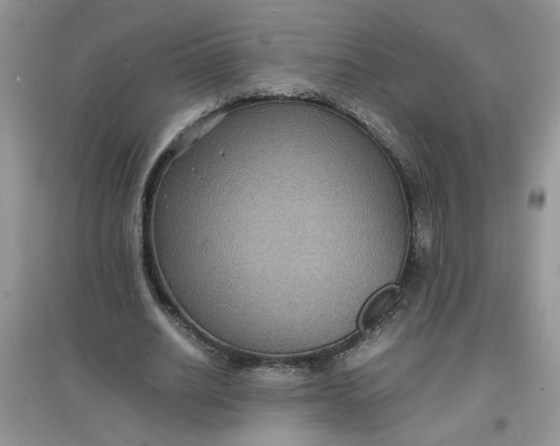 X0000097620630200803142003