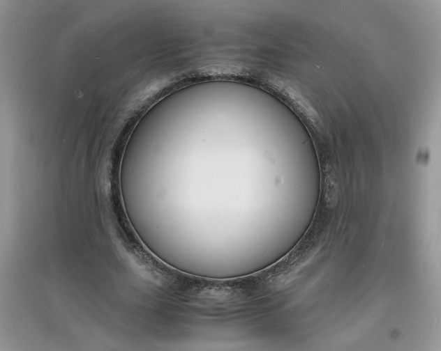 X0000097620631200803142003