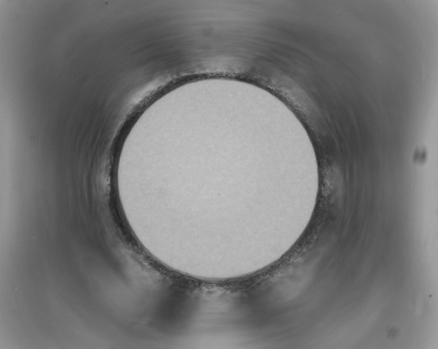 X0000097620632200803142003