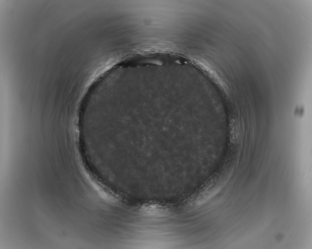 X0000097620634200803142003