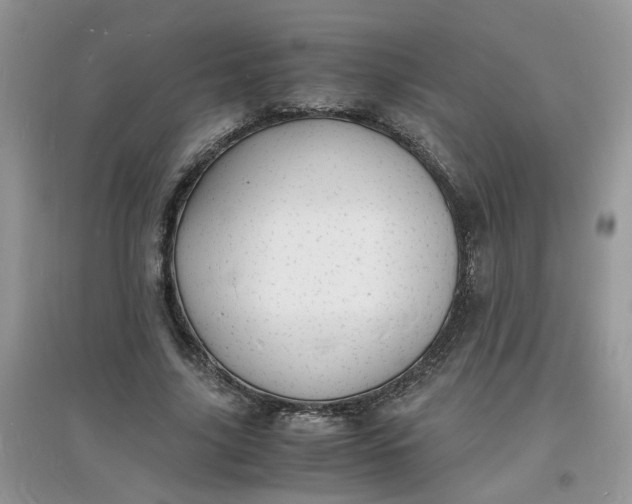 X0000097620635200803142003