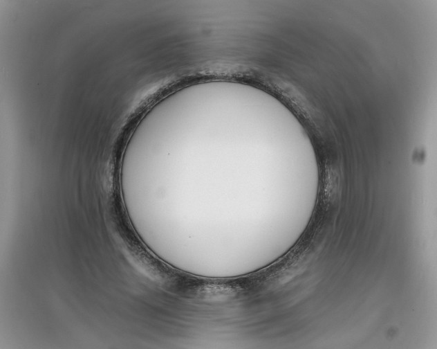 X0000097620636200803142003