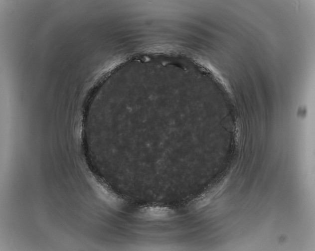 X0000097620637200803142003