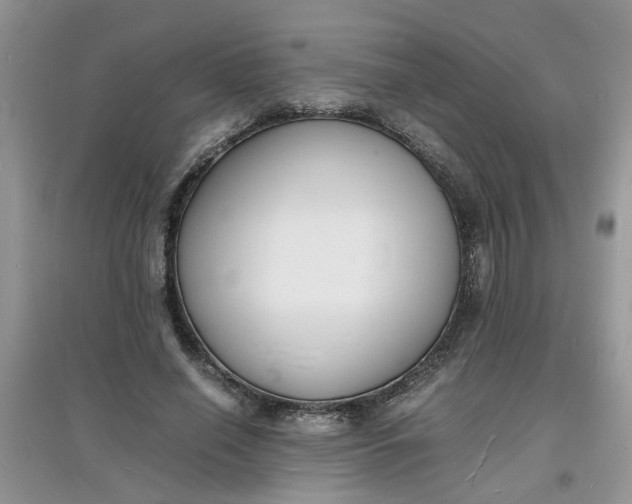 X0000097620638200803142003