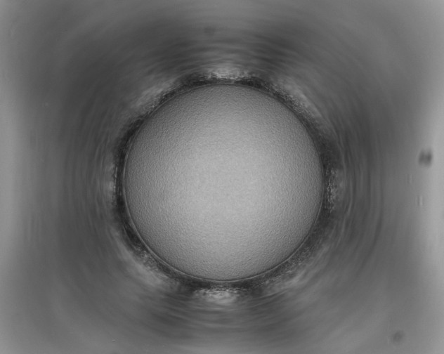 X0000097620639200803142003
