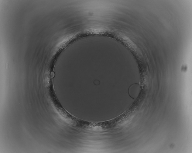 X0000097620640200803142003