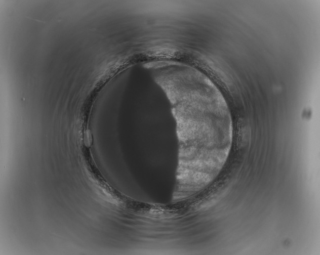 X0000097620641200803142003