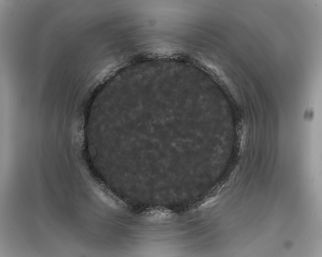 X0000097620642200803142003