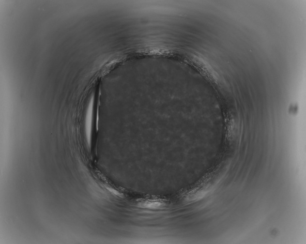 X0000097620643200803142003