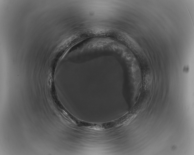 X0000097620644200803142003