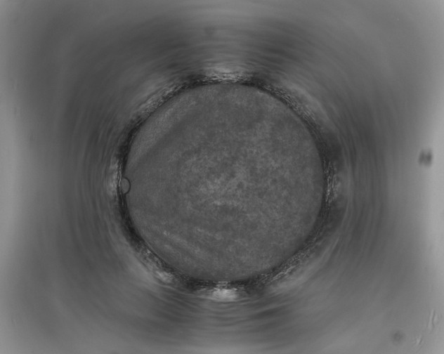 X0000097620647200803142003