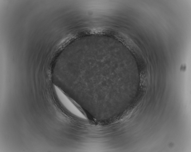 X0000097620648200803142003