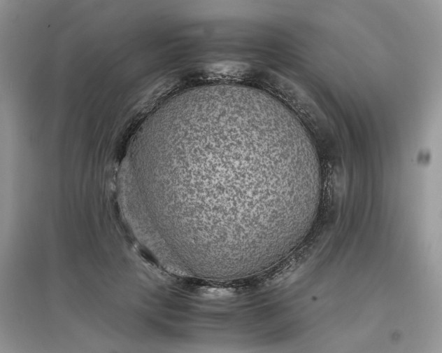 X0000097620649200803142003