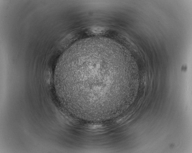 X0000097620651200803142003
