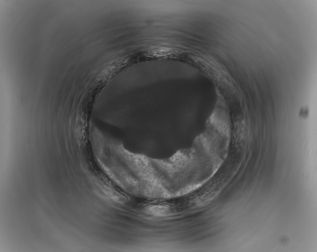 X0000097620653200803142003