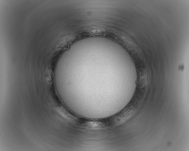 X0000097620654200803142003