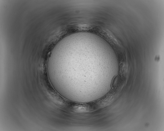 X0000097620655200803142003