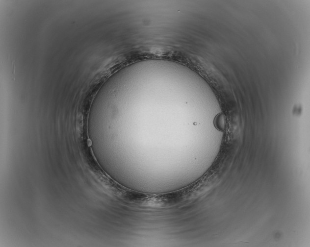 X0000097620656200803142003