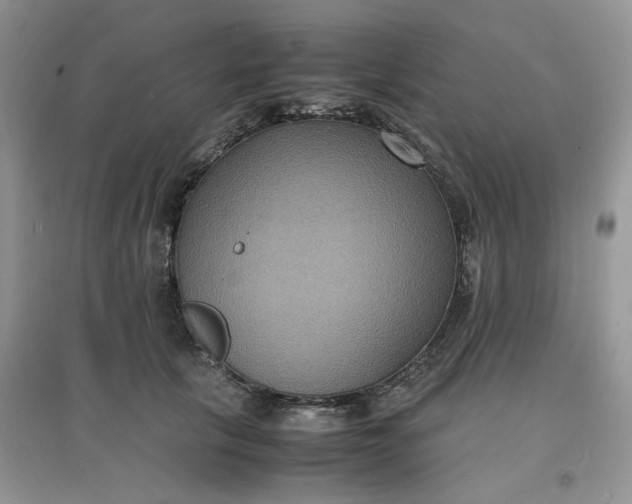 X0000097620657200803142003