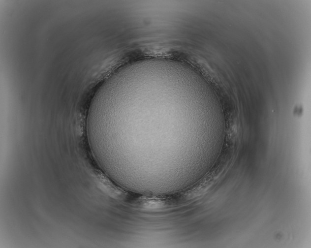 X0000097620658200803142003