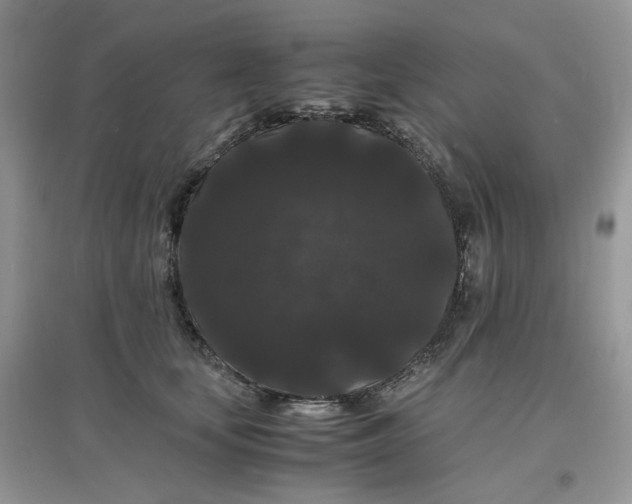 X0000097620659200803142003