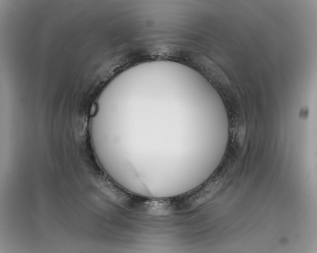 X0000097620660200803142003