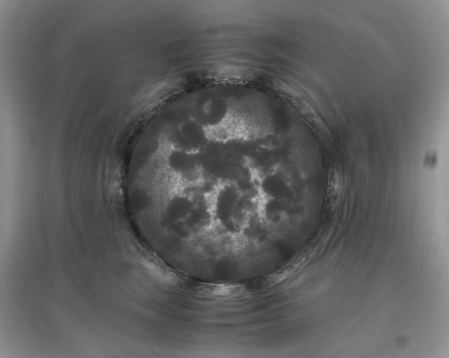 X0000097620663200803142003