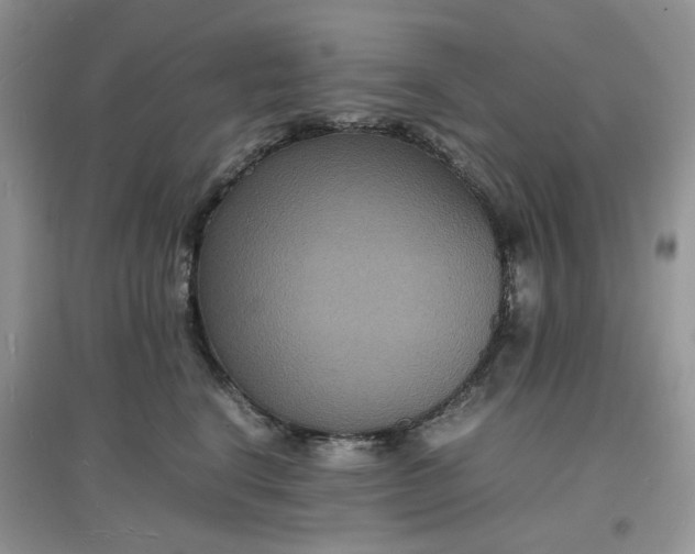 X0000097620664200803142003