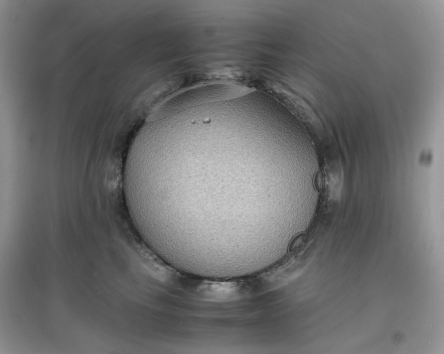 X0000097620665200803142003