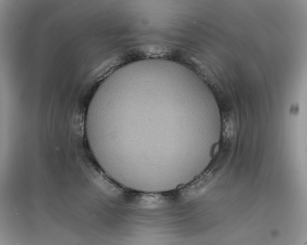 X0000097620666200803142003