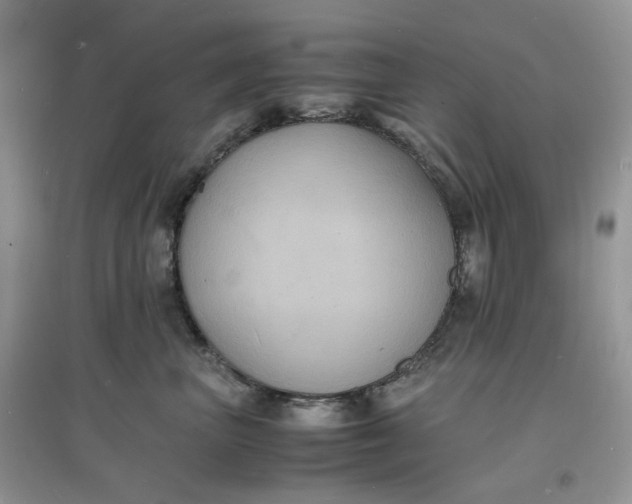 X0000097620667200803142003