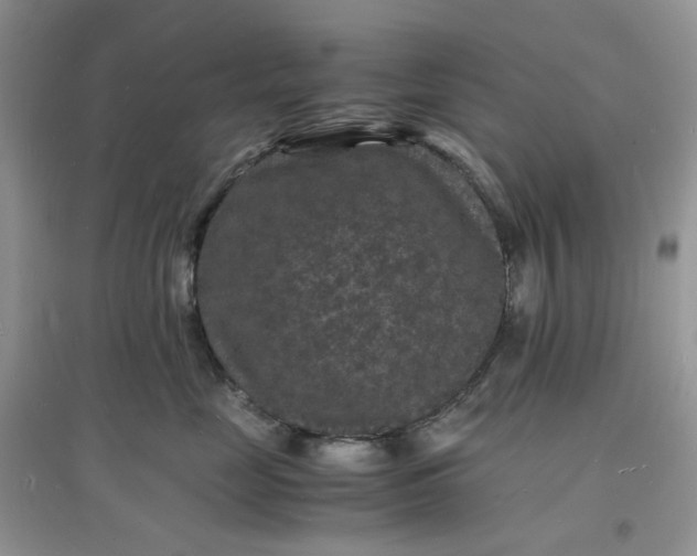 X0000097620669200803142003