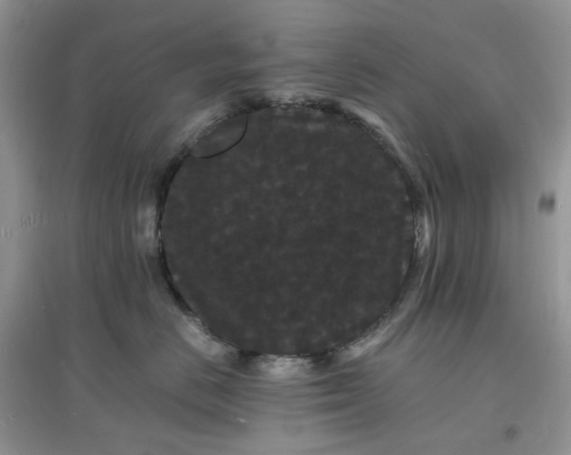 X0000097620670200803142003