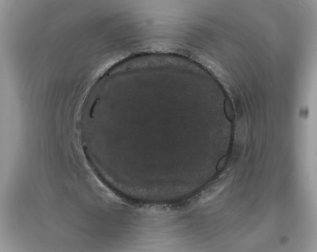 X0000097620673200803142003
