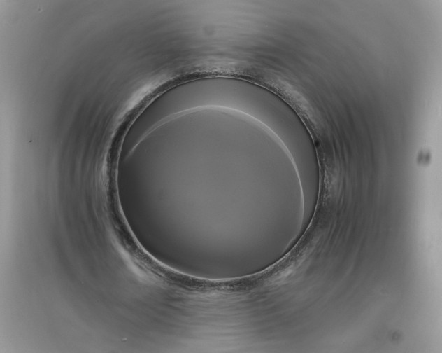 X0000097620674200803142003