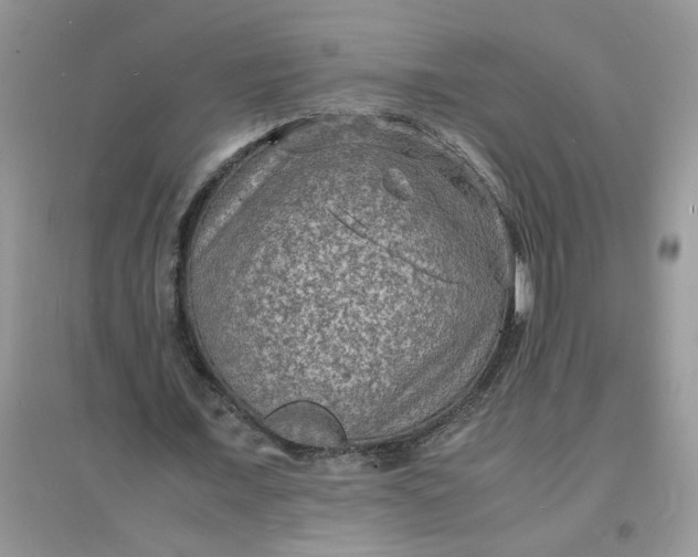 X0000097620675200803142003