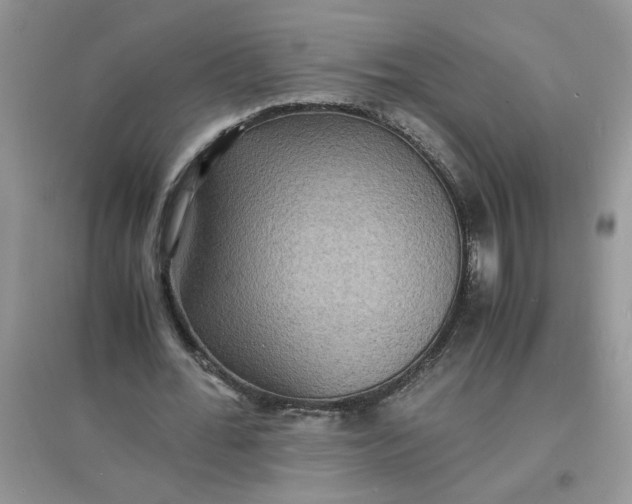 X0000097620676200803142003