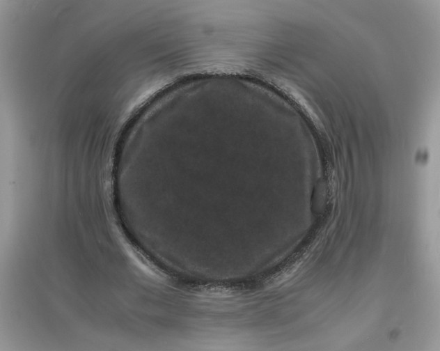 X0000097620677200803142003